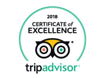 tripadvisor coe 2018 logo